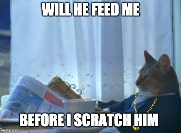 I Should Buy A Boat Cat Meme | WILL HE FEED ME; BEFORE I SCRATCH HIM | image tagged in memes,i should buy a boat cat | made w/ Imgflip meme maker