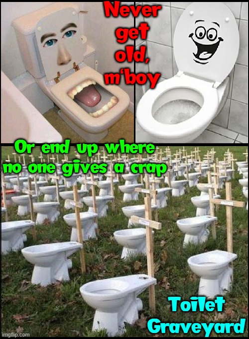 "Where do toilets go when we die, Dad?" | Never get old, m'boy; Or end up where no one gives a crap; Toilet Graveyard | image tagged in vince vance,toilet humor,father son,getting old,graveyard,new memes | made w/ Imgflip meme maker