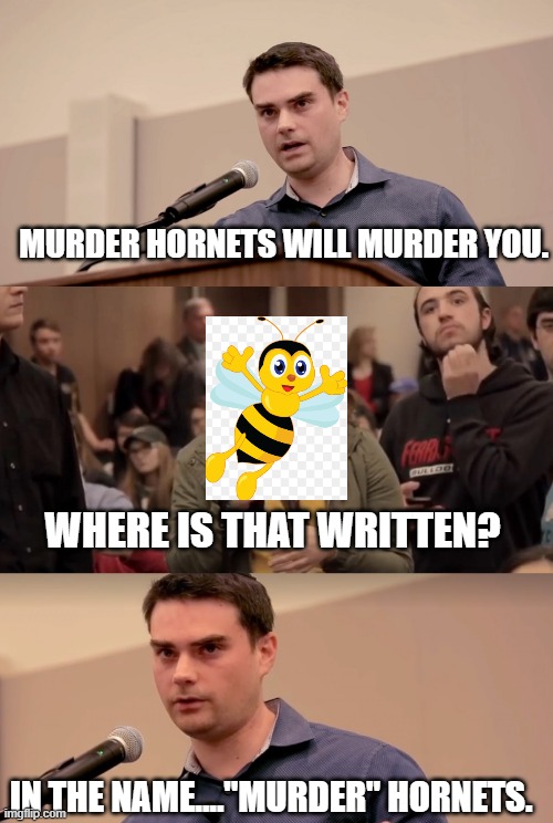 Ben Shapiro It's In The Name | MURDER HORNETS WILL MURDER YOU. WHERE IS THAT WRITTEN? IN THE NAME...."MURDER" HORNETS. | image tagged in ben shapiro it's in the name | made w/ Imgflip meme maker