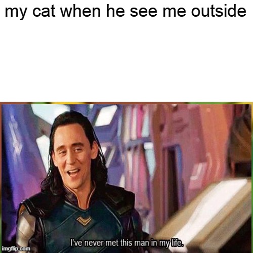 my cat when he see me outside | image tagged in cats | made w/ Imgflip meme maker