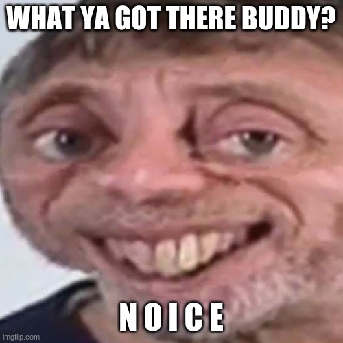 Noice | WHAT YA GOT THERE BUDDY? N O I C E | image tagged in noice | made w/ Imgflip meme maker