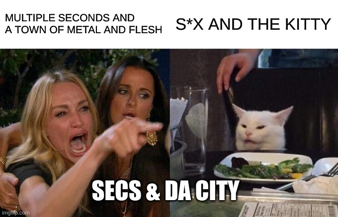Woman Yelling At Cat | MULTIPLE SECONDS AND A TOWN OF METAL AND FLESH; S*X AND THE KITTY; SECS & DA CITY | image tagged in memes,woman yelling at cat | made w/ Imgflip meme maker