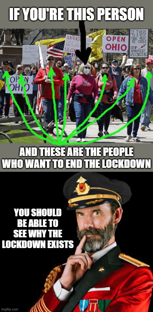 Not everyone is as responsible as you are. | IF YOU'RE THIS PERSON; AND THESE ARE THE PEOPLE WHO WANT TO END THE LOCKDOWN; YOU SHOULD BE ABLE TO SEE WHY THE LOCKDOWN EXISTS | image tagged in captain obvious,lockdown,protesters,idiots,irresponsible,coronavirus | made w/ Imgflip meme maker