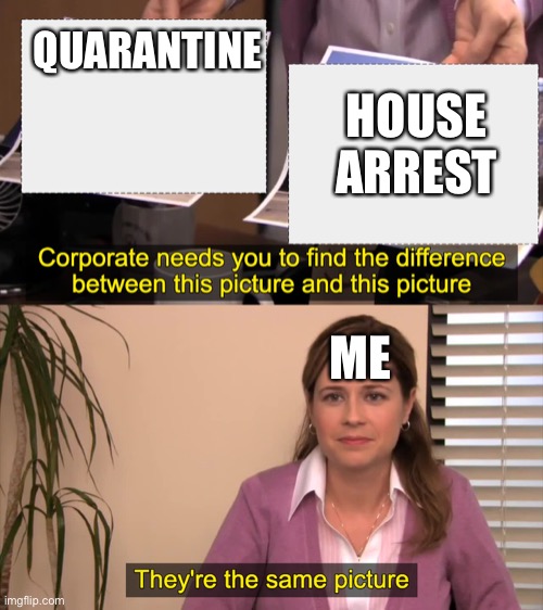 there the same picture | QUARANTINE; HOUSE ARREST; ME | image tagged in there the same picture | made w/ Imgflip meme maker