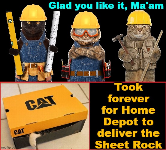 Construction Cats Love CAT® Boxes | Glad you like it, Ma'am; Took forever for Home Depot to deliver the Sheet Rock | image tagged in vince vance,cats,funny cat memes,construction worker,home depot | made w/ Imgflip meme maker