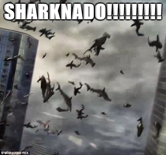 Sharknado | SHARKNADO!!!!!!!!! | image tagged in sharknado | made w/ Imgflip meme maker