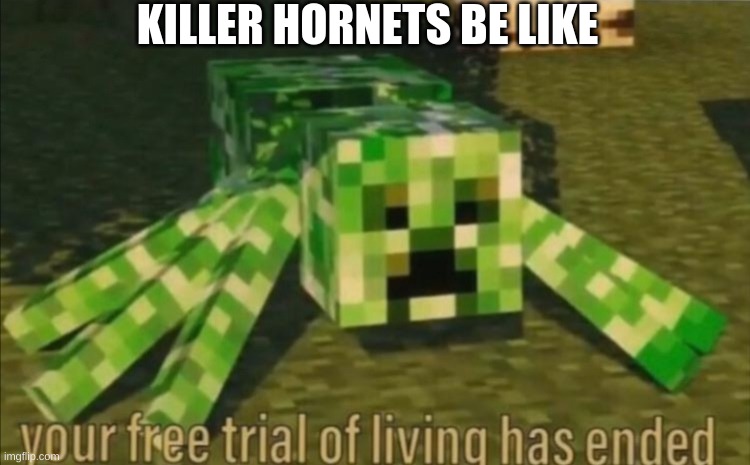 Your Free Trial of Living Has Ended | KILLER HORNETS BE LIKE | image tagged in your free trial of living has ended,murder hornets | made w/ Imgflip meme maker