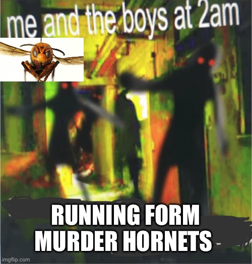 RUN B**CH RUN!!!! |  RUNNING FORM MURDER HORNETS | image tagged in me and the boy at 2am x,murder hornet | made w/ Imgflip meme maker