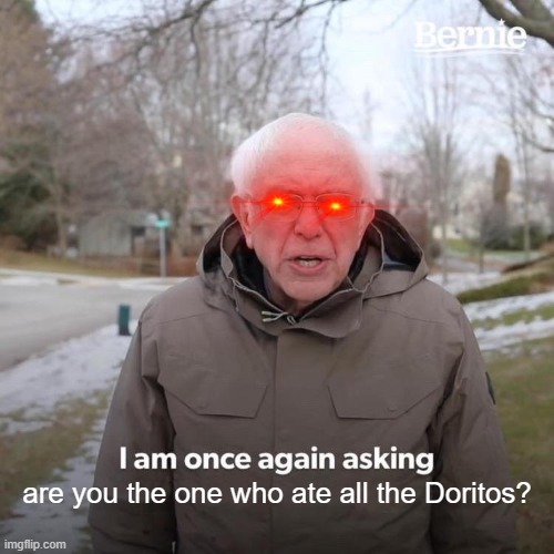 Bernie I Am Once Again Asking For Your Support Meme | are you the one who ate all the Doritos? | image tagged in memes,bernie i am once again asking for your support | made w/ Imgflip meme maker