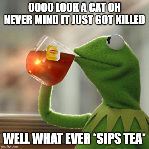 But That's None Of My Business | OOOO LOOK A CAT OH NEVER MIND IT JUST GOT KILLED; WELL WHAT EVER *SIPS TEA* | image tagged in memes,but that's none of my business,kermit the frog | made w/ Imgflip meme maker