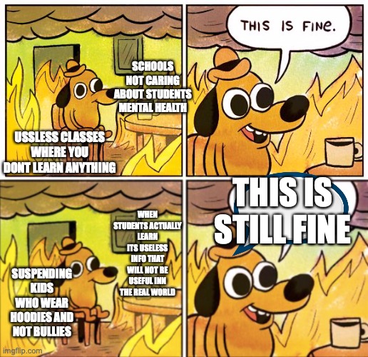 this definatly fine | SCHOOLS NOT CARING ABOUT STUDENTS MENTAL HEALTH; USSLESS CLASSES WHERE YOU DONT LEARN ANYTHING; THIS IS STILL FINE; WHEN STUDENTS ACTUALLY LEARN ITS USELESS INFO THAT WILL NOT BE USEFUL INN THE REAL WORLD; SUSPENDING KIDS WHO WEAR HOODIES AND NOT BULLIES | image tagged in memes,this is fine | made w/ Imgflip meme maker