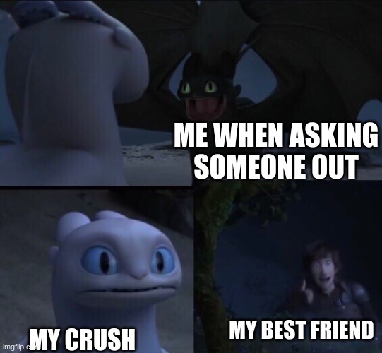 How to train your dragon 3 | ME WHEN ASKING SOMEONE OUT; MY BEST FRIEND; MY CRUSH | image tagged in how to train your dragon 3 | made w/ Imgflip meme maker