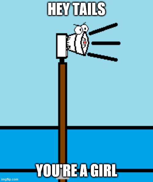 2001-130 calls Tails a girl | HEY TAILS; YOU'RE A GIRL | image tagged in tails,2001-130 | made w/ Imgflip meme maker