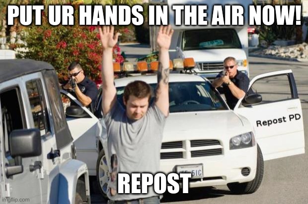 PUT UR HANDS IN THE AIR NOW! REPOST | image tagged in repost police | made w/ Imgflip meme maker