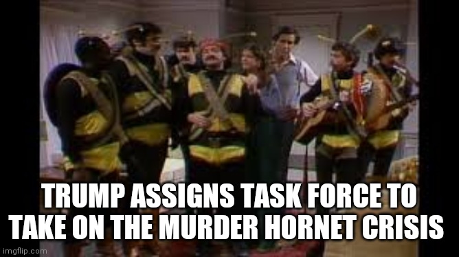TRUMP ASSIGNS TASK FORCE TO TAKE ON THE MURDER HORNET CRISIS | image tagged in memes | made w/ Imgflip meme maker