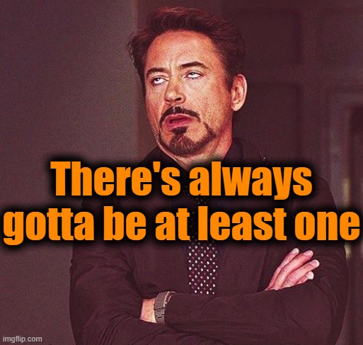 Robert Downey Jr Annoyed | There's always gotta be at least one | image tagged in robert downey jr annoyed | made w/ Imgflip meme maker