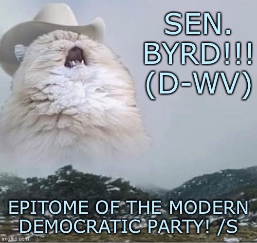 When they bring up Senator Byrd (D-WV) in an effort to tarnish all modern Democrats on race issues. | SEN. BYRD!!! (D-WV); EPITOME OF THE MODERN DEMOCRATIC PARTY! /S | image tagged in country roads cat,racism,racist,no racism,democratic party,conservative logic | made w/ Imgflip meme maker