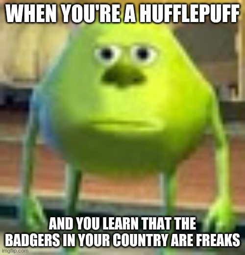 It Suits Me Well | WHEN YOU'RE A HUFFLEPUFF; AND YOU LEARN THAT THE BADGERS IN YOUR COUNTRY ARE FREAKS | image tagged in sully wazowski | made w/ Imgflip meme maker