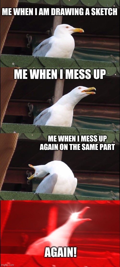 Inhaling Seagull | ME WHEN I AM DRAWING A SKETCH; ME WHEN I MESS UP; ME WHEN I MESS UP AGAIN ON THE SAME PART; AGAIN! | image tagged in memes,inhaling seagull | made w/ Imgflip meme maker