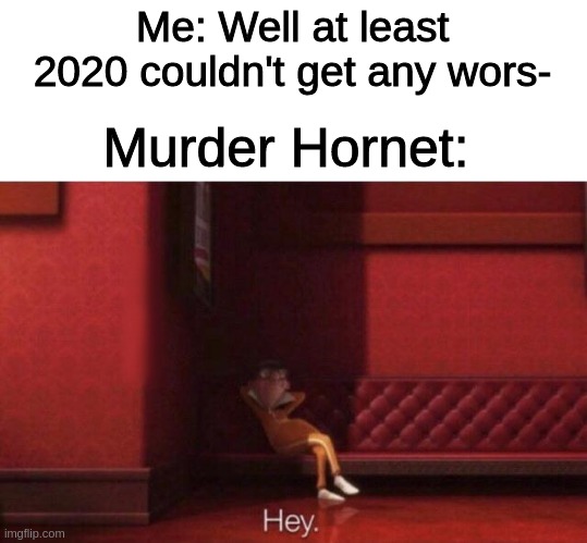 Hey. | Me: Well at least 2020 couldn't get any wors-; Murder Hornet: | image tagged in hey | made w/ Imgflip meme maker