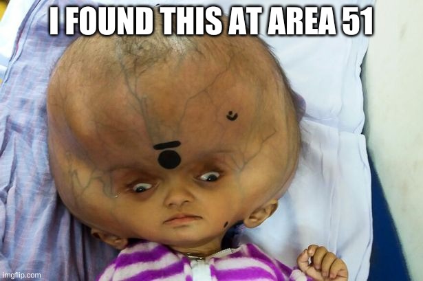 Its an alien!! | I FOUND THIS AT AREA 51 | image tagged in alien,area 51,big forhead | made w/ Imgflip meme maker