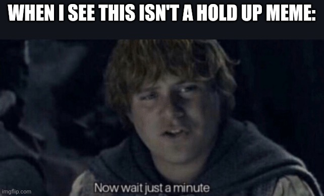 Samwise Now wait just a minute | WHEN I SEE THIS ISN'T A HOLD UP MEME: | image tagged in samwise now wait just a minute | made w/ Imgflip meme maker