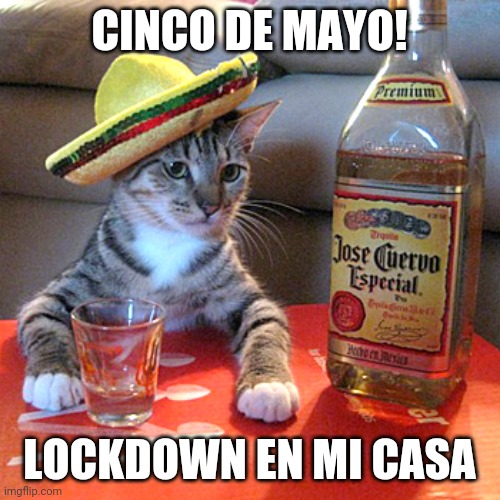 Cinco de Mayo | CINCO DE MAYO! LOCKDOWN EN MI CASA | image tagged in nessesito twenti frii tacos,lockdown,cinco de mayo,cats,quarantine,tequila | made w/ Imgflip meme maker