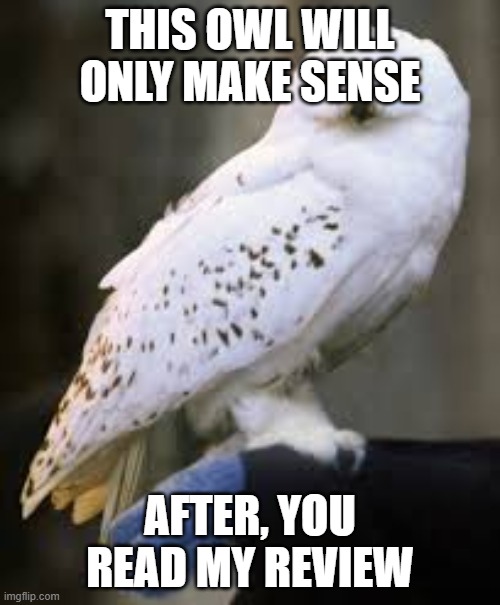 THIS OWL WILL ONLY MAKE SENSE; AFTER, YOU READ MY REVIEW | made w/ Imgflip meme maker