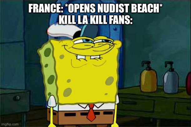 Don't You Squidward | FRANCE: *OPENS NUDIST BEACH*
KILL LA KILL FANS: | image tagged in memes,don't you squidward,anime,kill la kill | made w/ Imgflip meme maker