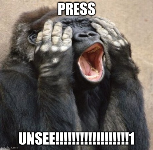 My Eyes Gorilla | PRESS; UNSEE!!!!!!!!!!!!!!!!!!1 | image tagged in my eyes gorilla | made w/ Imgflip meme maker