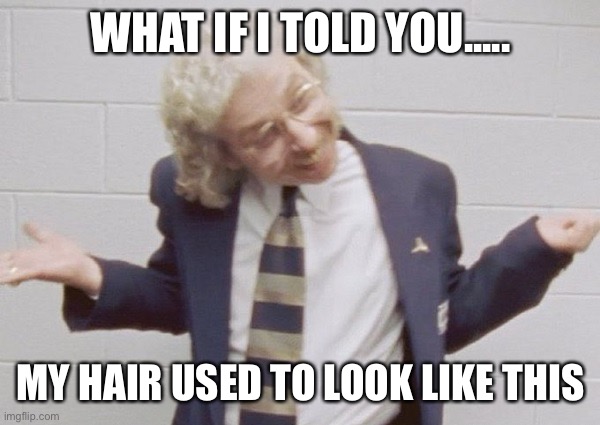 Michael Wozniak Bulls | WHAT IF I TOLD YOU..... MY HAIR USED TO LOOK LIKE THIS | image tagged in memes,funny,chicago bulls | made w/ Imgflip meme maker