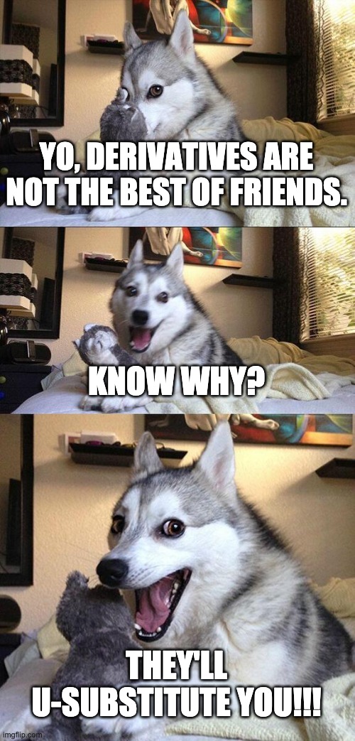 Physics | YO, DERIVATIVES ARE NOT THE BEST OF FRIENDS. KNOW WHY? THEY'LL U-SUBSTITUTE YOU!!! | image tagged in memes,bad pun dog | made w/ Imgflip meme maker