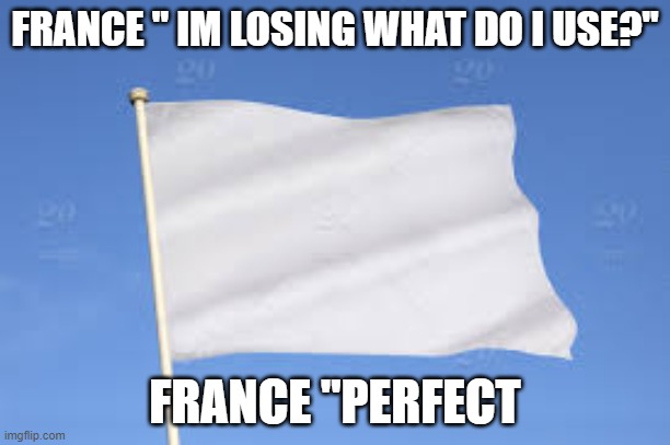 flag | FRANCE '' IM LOSING WHAT DO I USE?''; FRANCE ''PERFECT | image tagged in flag | made w/ Imgflip meme maker
