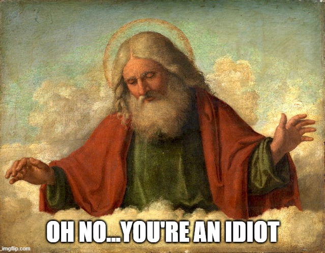 god, you're an idiot | OH NO...YOU'RE AN IDIOT | image tagged in god | made w/ Imgflip meme maker