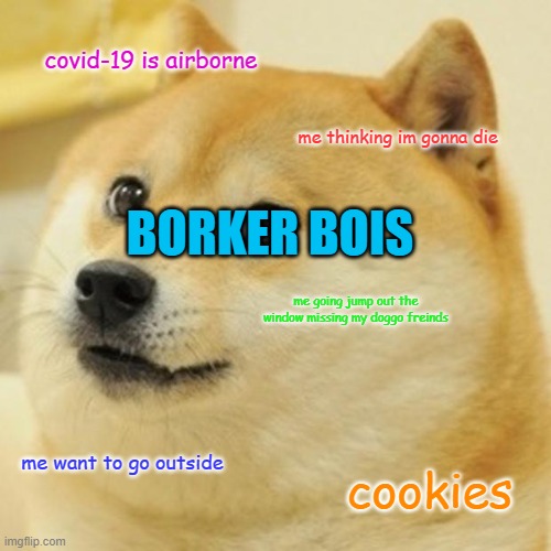 Doge Meme | covid-19 is airborne; me thinking im gonna die; BORKER BOIS; me going jump out the window missing my doggo freinds; me want to go outside; cookies | image tagged in memes,doge | made w/ Imgflip meme maker