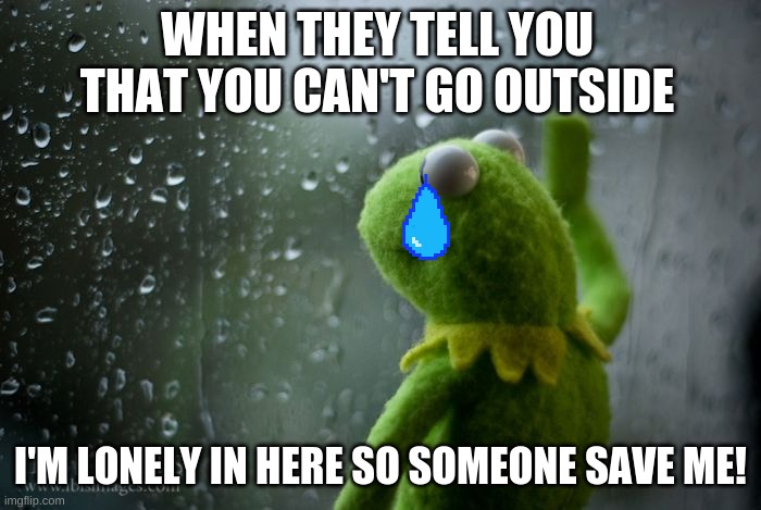kermit window | WHEN THEY TELL YOU THAT YOU CAN'T GO OUTSIDE; I'M LONELY IN HERE SO SOMEONE SAVE ME! | image tagged in kermit window | made w/ Imgflip meme maker
