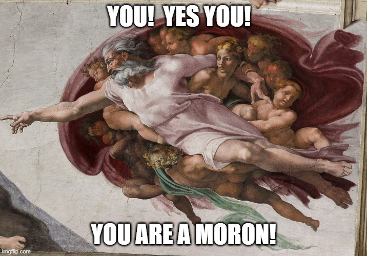 god | YOU!  YES YOU! YOU ARE A MORON! | image tagged in moron | made w/ Imgflip meme maker