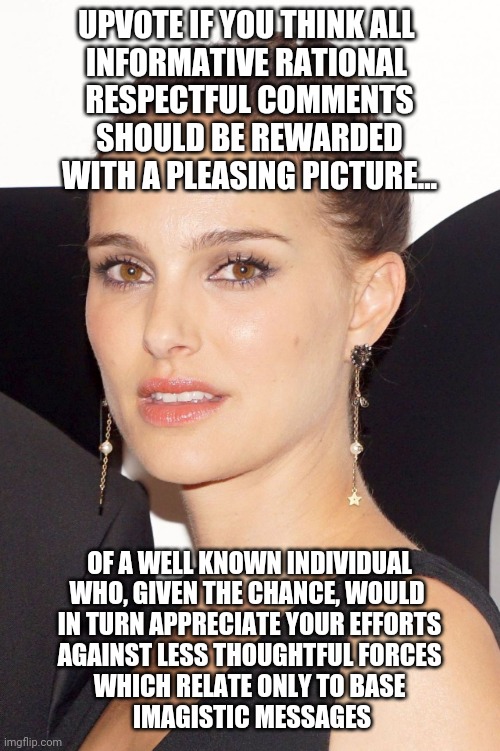 Natalie Portman | UPVOTE IF YOU THINK ALL 
INFORMATIVE RATIONAL 
RESPECTFUL COMMENTS
 SHOULD BE REWARDED 
WITH A PLEASING PICTURE... OF A WELL KNOWN INDIVIDUA | image tagged in natalie portman | made w/ Imgflip meme maker