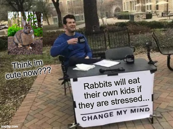 Change My Mind | Think im cute now??? Rabbits will eat their own kids if they are stressed... | image tagged in memes,change my mind,disturbing,funny memes | made w/ Imgflip meme maker