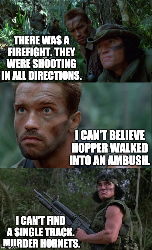 predatory murder hornets | THERE WAS A FIREFIGHT. THEY WERE SHOOTING IN ALL DIRECTIONS. I CAN'T BELIEVE HOPPER WALKED INTO AN AMBUSH. I CAN'T FIND A SINGLE TRACK.  MURDER HORNETS. | image tagged in there was a firefight | made w/ Imgflip meme maker