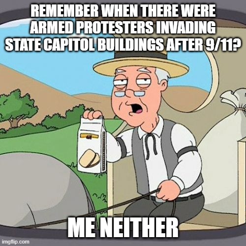 Pepperidge Farm Remembers | REMEMBER WHEN THERE WERE ARMED PROTESTERS INVADING STATE CAPITOL BUILDINGS AFTER 9/11? ME NEITHER | image tagged in memes,pepperidge farm remembers | made w/ Imgflip meme maker