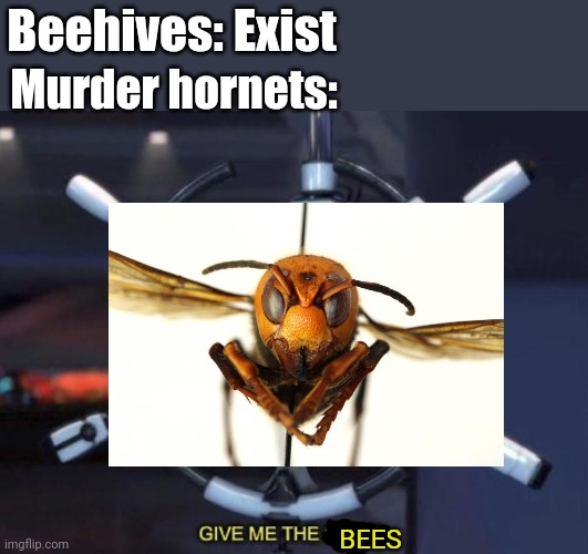 "Gimme da honeybees" | Beehives: Exist; Murder hornets:; BEES | image tagged in give me the plant,memes,murder hornets,bees | made w/ Imgflip meme maker