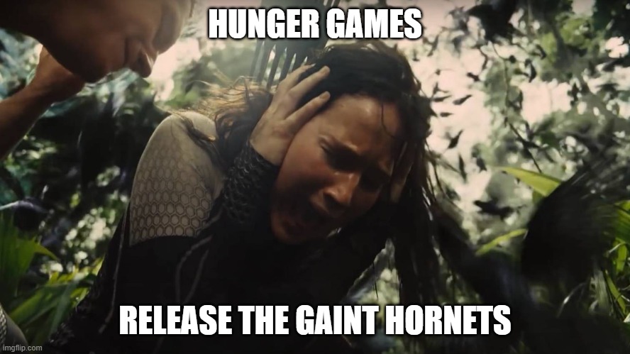 Hunger Games | HUNGER GAMES; RELEASE THE GAINT HORNETS | image tagged in murder hornet,murder hornets | made w/ Imgflip meme maker