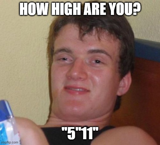 10 Guy | HOW HIGH ARE YOU? "5"11" | image tagged in memes,10 guy | made w/ Imgflip meme maker