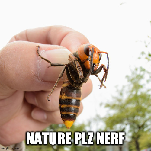 blizzard plz nerf | NATURE PLZ NERF | image tagged in murder hornet | made w/ Imgflip meme maker