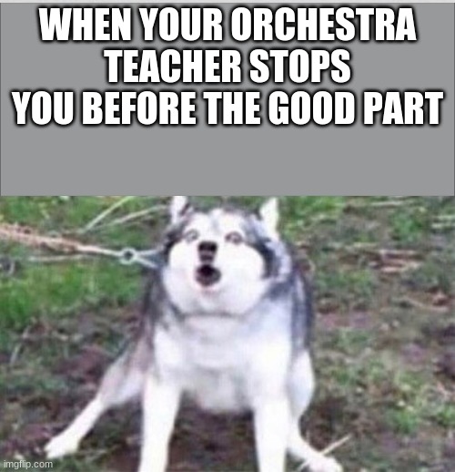 Only people in orchestra will understand | WHEN YOUR ORCHESTRA TEACHER STOPS YOU BEFORE THE GOOD PART | image tagged in orchestra | made w/ Imgflip meme maker