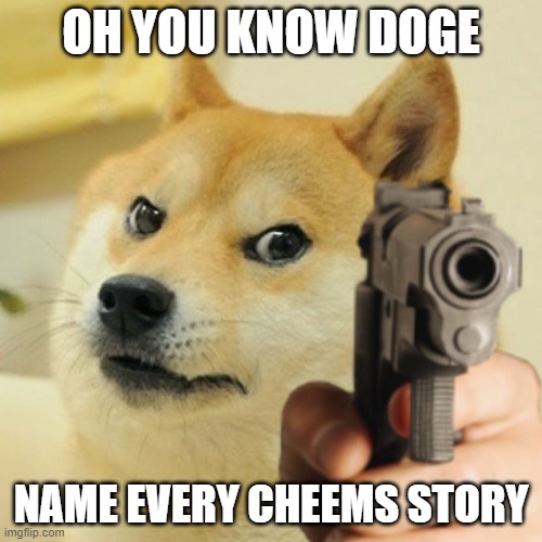 Doge holding a gun | OH YOU KNOW DOGE; NAME EVERY CHEEMS STORY | image tagged in doge holding a gun | made w/ Imgflip meme maker