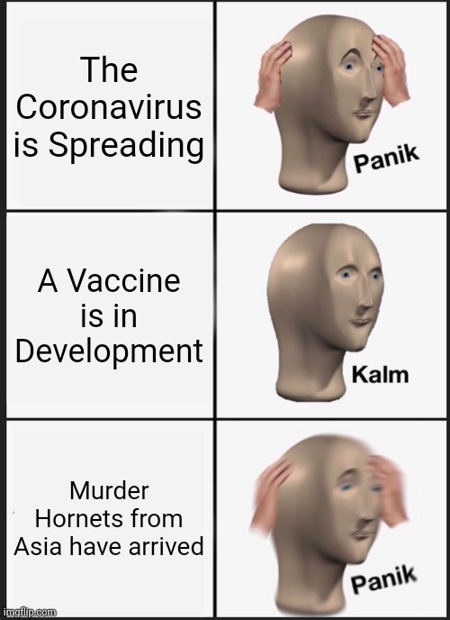 2020 so far | The Coronavirus is Spreading; A Vaccine is in Development; Murder Hornets from Asia have arrived | image tagged in memes,panik kalm panik | made w/ Imgflip meme maker