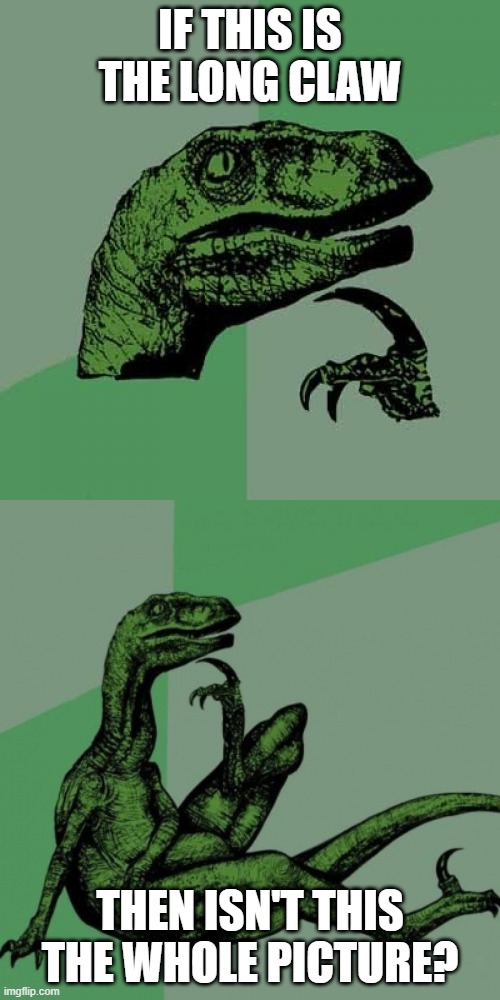 Philosoraptor | IF THIS IS THE LONG CLAW; THEN ISN'T THIS THE WHOLE PICTURE? | image tagged in memes,philosoraptor | made w/ Imgflip meme maker
