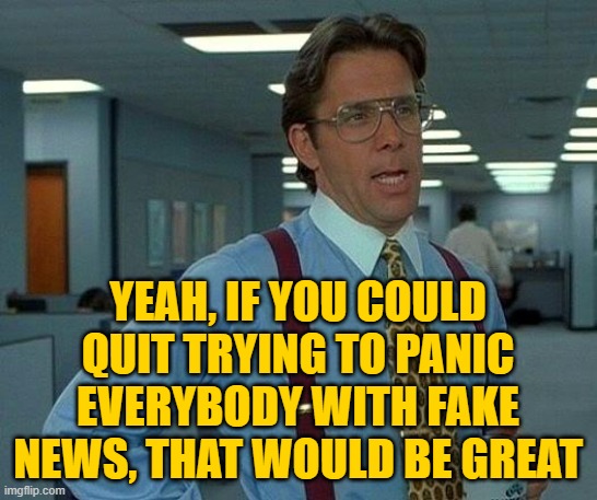 That Would Be Great Meme | YEAH, IF YOU COULD QUIT TRYING TO PANIC EVERYBODY WITH FAKE NEWS, THAT WOULD BE GREAT | image tagged in memes,that would be great | made w/ Imgflip meme maker